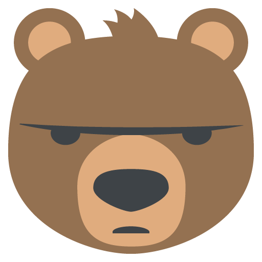 Animal Face Bear
