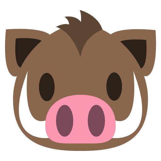Animal Face Boar